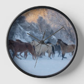 Paardenrit in de winter op Hideout Ranch (Voorkant)