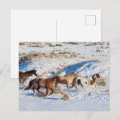 Paardenrit in de winter op Hideout Ranch Briefkaart (Voorkant / Achterkant)