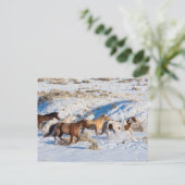 Paardenrit in de winter op Hideout Ranch Briefkaart (Staand voorkant)