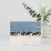 Paardenrit in de winter op Hideout Ranch Briefkaart (Staand voorkant)