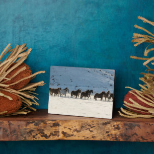 Paardenrit in de winter op Hideout Ranch Fotoplaat