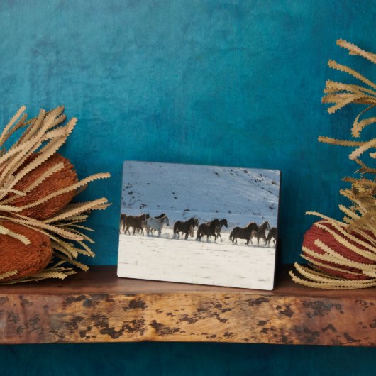 Paardenrit in de winter op Hideout Ranch Fotoplaat (Zijkant)