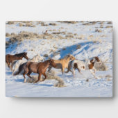 Paardenrit in de winter op Hideout Ranch Fotoplaat (voorkant)