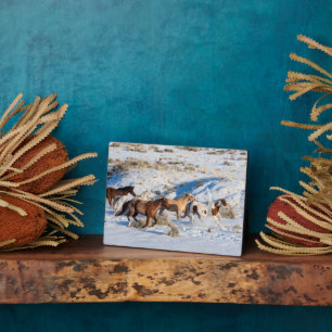 Paardenrit in de winter op Hideout Ranch Fotoplaat