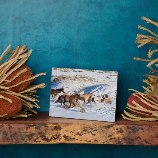 Paardenrit in de winter op Hideout Ranch Fotoplaat (Zijkant)