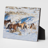 Paardenrit in de winter op Hideout Ranch Fotoplaat (Zijkant)