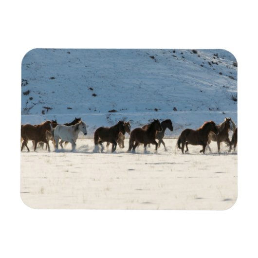 Paardenrit in de winter op Hideout Ranch Magneet (Horizontaal)