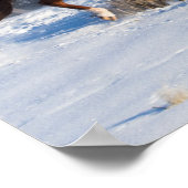 Paardenrit in de winter op Hideout Ranch Poster (Hoek)