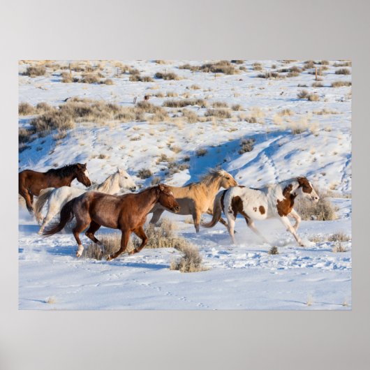 Paardenrit in de winter op Hideout Ranch Poster (Voorkant)
