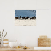 Paardenrit in de winter op Hideout Ranch Poster (Keuken)