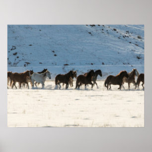 Paardenrit in de winter op Hideout Ranch Poster