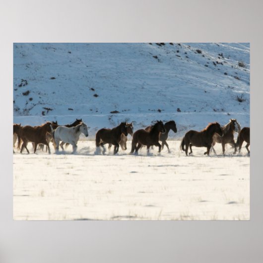 Paardenrit in de winter op Hideout Ranch Poster (Voorkant)
