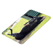 Paardenrollende Flexibele Magneet (Linkerzijde)