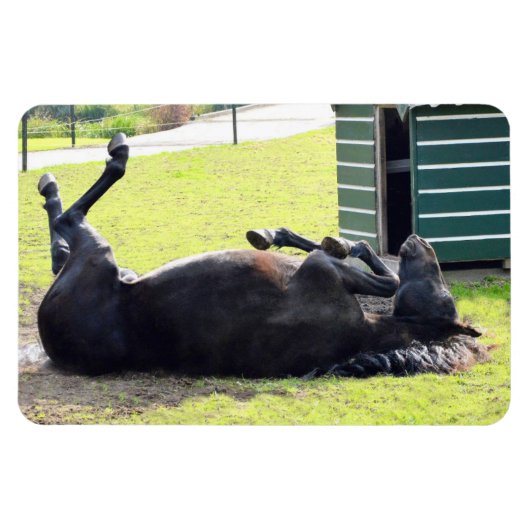 Paardenrollende Flexibele Magneet (Horizontaal)