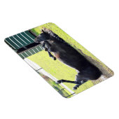 Paardenrollende Flexibele Magneet (Rechterzijde)