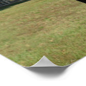 Paardenroyale afdrukken -24x20 -klik voor kleiner poster (Hoek)