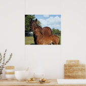 Paardenroyale afdrukken -24x20 -klik voor kleiner poster (Keuken)