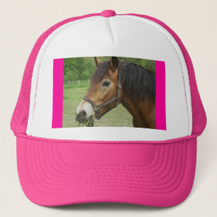 Paardenroze Pet