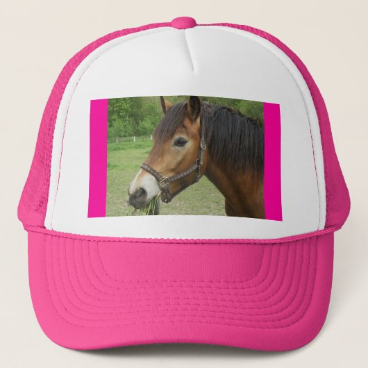 Paardenroze Pet (Voorkant)