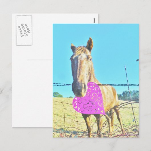 Paardenroze Valentijn en turquoise Feestdagenkaart (Voorkant / Achterkant)