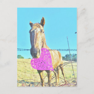 Paardenroze Valentijn en turquoise Feestdagenkaart