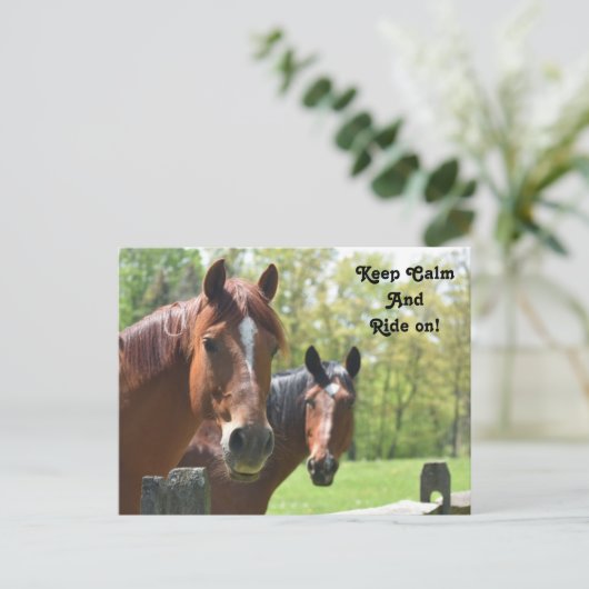 Paardenrugleuning Briefkaart (Staand voorkant)