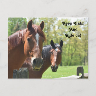 Paardenrugleuning Briefkaart