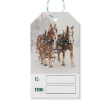 Paardenschaal voor kerstmis