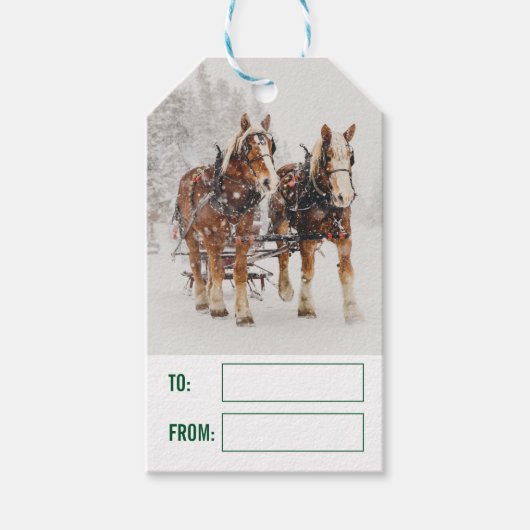Paardenschaal voor kerstmis cadeaulabel (Voorkant)