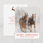 Paardenschaal voor kerstmis feestdagenkaart (Voorkant / Achterkant)