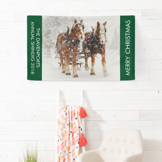 Paardenschaal voor kerstmis spandoek (Insitu)
