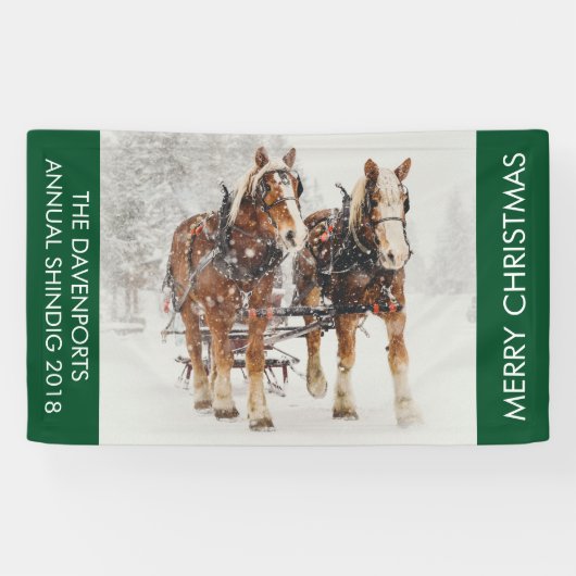 Paardenschaal voor kerstmis spandoek (Horizontaal)