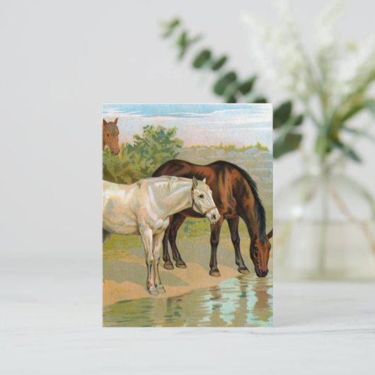  paardenschilderen briefkaart (Staand voorkant)