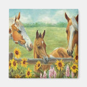 Paardenschildermagneet Magneet (Voorkant)