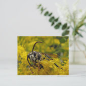 Paardenschoen Briefkaart (Staand voorkant)