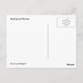 Paardenschoen Briefkaart (Achterkant)