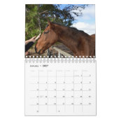 Paardenschoonheid, Kalender (Jan 2027)