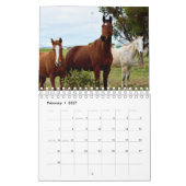 Paardenschoonheid, Kalender (Feb 2027)