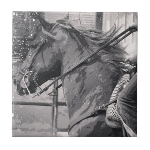 PaardenShow Grunge Black en White Tegeltje