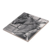 PaardenShow Grunge Black en White Tegeltje (Zijkant)