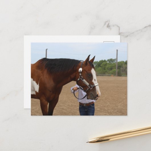 Paardenshow Presenteren Bay Paint Briefkaart (Voorkant / Achterkant in situ)