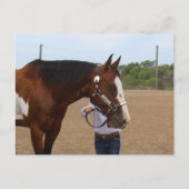 Paardenshow Presenteren Bay Paint Briefkaart (Voorkant)