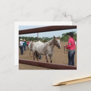 Paardenshow Showmanship Briefkaart