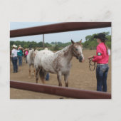 Paardenshow Showmanship Briefkaart (Voorkant)
