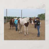 Paardenshow Showmanship Briefkaart (Voorkant)