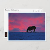 Paardensilhouet Briefkaart (Voorkant / Achterkant)