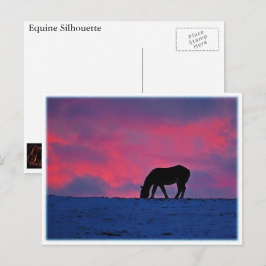 Paardensilhouet Briefkaart (Voorkant / Achterkant)