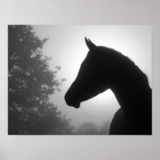 Paardensilhouet in zwart-wit poster (Voorkant)