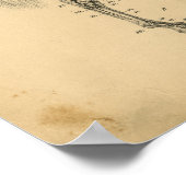 Paardenskelet Anatomy 1908 afdrukken Poster (Hoek)