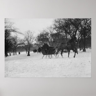 Paardenslee in Central Park, New York City Poster